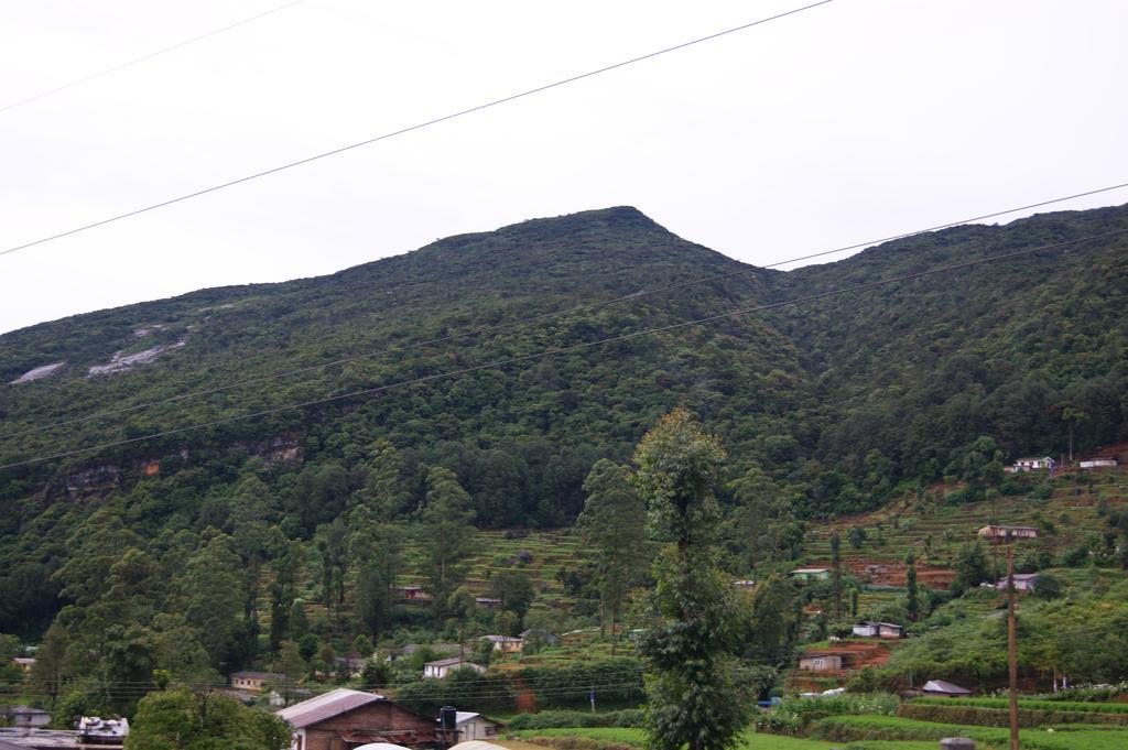 Winter Dream Holiday Bungalow Nuwara Eliya Bilik gambar