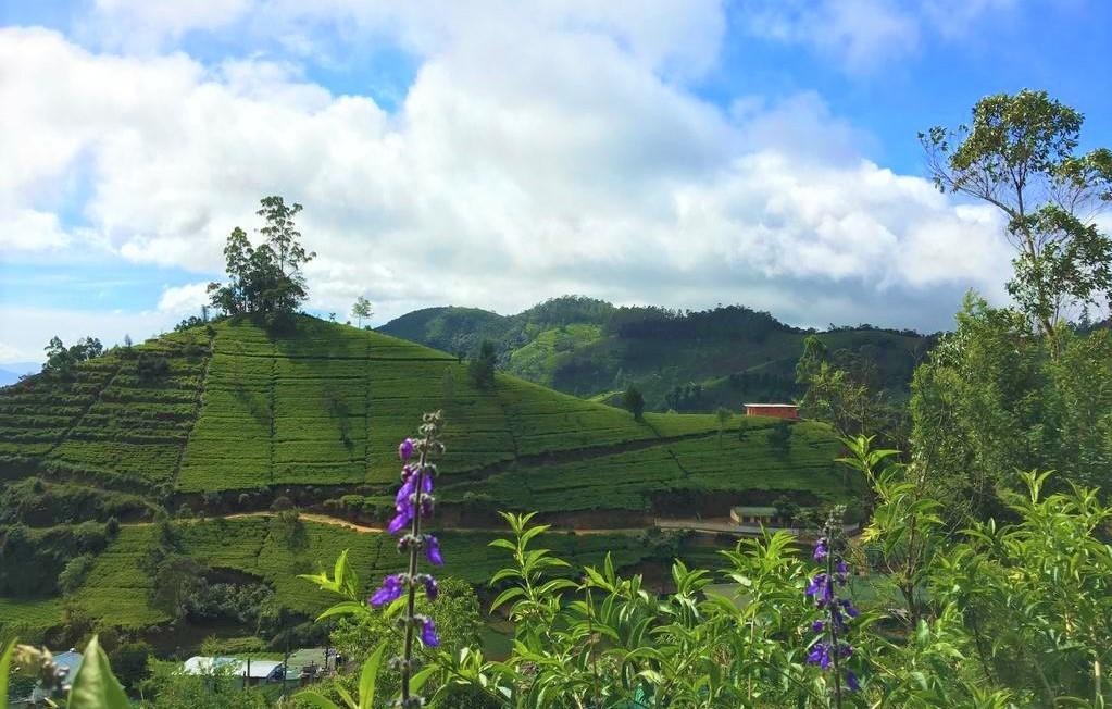 Winter Dream Holiday Bungalow Nuwara Eliya Luaran gambar